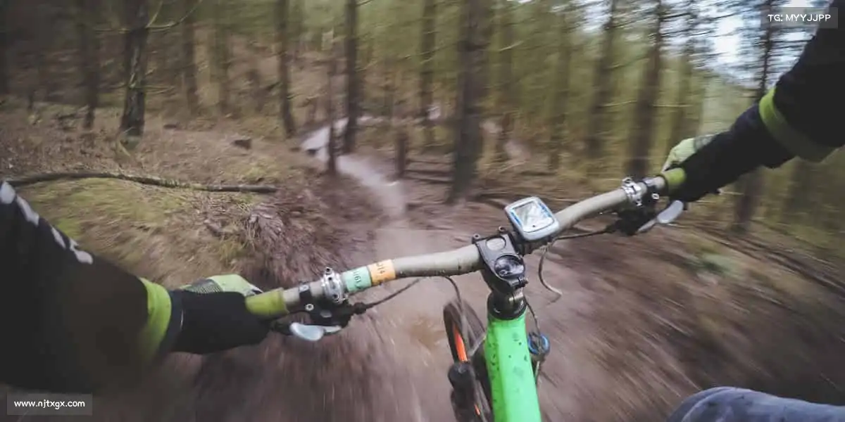 行业领先的理由